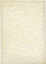 Grunge crupled paper texture Royalty Free Stock Photo