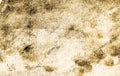 Abstract Grunge Decorative old brown beige paint brush strokes background