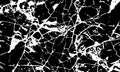 Grunge detailed black abstract texture