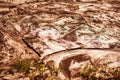 grunge, detailed close-up wet clay texture. Wet mud with drips from rain, sunlight. The surface of Mars