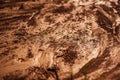 grunge, detailed close-up wet clay texture. Wet mud with drips from rain, sunlight. The surface of Mars