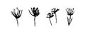 Grunge dirty decorative flowers. Hand drawn black vector floral collection, isolated on white background. Modern ink expressive Royalty Free Stock Photo