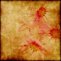 Grunge elegance flower paper Royalty Free Stock Photo
