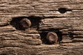 Grunge Faded Wood Board Panel Structure With Metal Screws Royalty Free Stock Photo