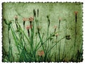 Grunge floral background