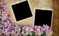 Grunge Floral Background with Blank Photos Royalty Free Stock Photo