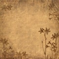 Grunge Floral Background Brown