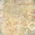 Grunge floral background Royalty Free Stock Photo