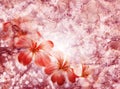 Grunge floral marsala background