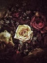 Grunge flower background and texture