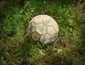 Grunge football or soccer ball on a green lawn