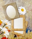 Grunge frame with daisy and paper Royalty Free Stock Photo