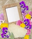 Grunge frame with pansy and paper Royalty Free Stock Photo