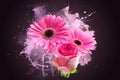 Grunge Gerbera daisies Royalty Free Stock Photo