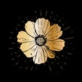 Grunge golden cosmos flower with burst on a black background . Vector illustration for postcards, calendars, posters, t Royalty Free Stock Photo