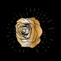 Grunge golden rose flower with burst on a black background Royalty Free Stock Photo