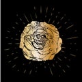 Grunge golden rose flower with burst on a black background . Vector illustration for postcards, calendars, posters, t