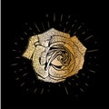 Grunge golden rose flower with burst on a black background . Vector illustration for postcards, calendars, posters, t Royalty Free Stock Photo