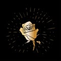 Grunge golden rose flower with burst on a black background