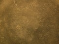 Grunge golden texture