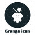 Grunge Grape fruit icon isolated on white background. Monochrome vintage drawing. Vector