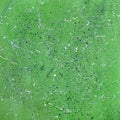 Grunge green artistic background with dots Royalty Free Stock Photo