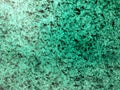 Grunge green and black wall texture of concrete floor background for creation abstract. Royalty Free Stock Photo