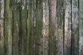 Grunge green Wood panels for background