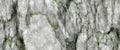 Grunge grey green dirty marble background