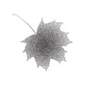 Grunge halftone black and white maple leaf isolated on a white background. Vector illustratoin with halftone dots Royalty Free Stock Photo