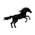 Grunge Horse silhouette isolated on white background