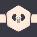 Grunge Human kidneys icon isolated on grey background. Monochrome vintage drawing. Vector