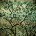 Grunge image of dark forest, perfect halloween background