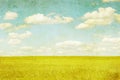 Grunge image of green field Royalty Free Stock Photo