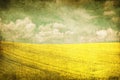 Grunge image of green field and blue sky Royalty Free Stock Photo