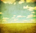 Grunge image of green field and blue sky Royalty Free Stock Photo