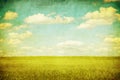 Grunge image of green field and blue sky Royalty Free Stock Photo