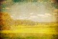 Grunge image of green field and blue sky Royalty Free Stock Photo