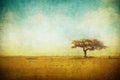 Grunge image of a tree over grunge background Royalty Free Stock Photo