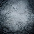 Grunge image of tree silhouettes. Perfect halloween background Royalty Free Stock Photo