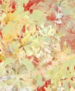 Grunge Impressionist Flower Abstract on Paper Royalty Free Stock Photo