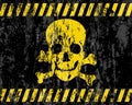 Grunge jolly roger background Royalty Free Stock Photo