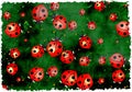 Grunge ladybugs Royalty Free Stock Photo
