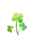 Grunge leaf clover Royalty Free Stock Photo