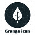 Grunge Leaf icon isolated on white background. Fresh natural product symbol. Monochrome vintage drawing. Vector Royalty Free Stock Photo