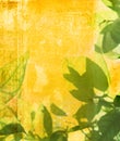 Grunge leaves background