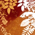 Grunge Leaves Silhouette