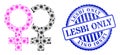 Grunge Lesbi Only Seal and Contagious Lesbian Couple Symbol Mosaic Icon