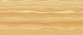 Grunge light beige brown wood bark, wavy knot and wood shiny horizontal