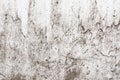 Grunge light gray texture of an old wall with black divorces, white surface with smudges, abstract background Royalty Free Stock Photo